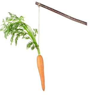 dangle carrot